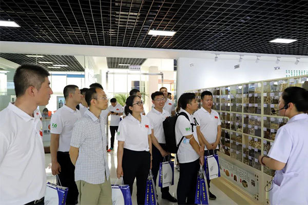 ���м��ſƼ�����