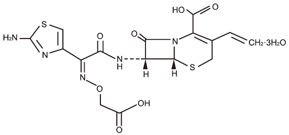 Í·æß¿Ë뿽ºÄÒ Í·æß¿Ë뿽ºÄÒ
