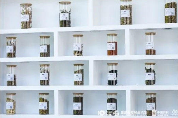 304am永利集团中药材 304am永利集团中药材