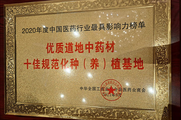 304amÓÀÀû¼¯ÍŵÀµØÒ©²ÄÈÙ»ñÊ®¼Ñ¹æ·¶»¯ÖÖ£¨Ñø£©Ö²»ùµØ 304amÓÀÀû¼¯ÍŵÀµØÒ©²ÄÈÙ»ñÊ®¼Ñ¹æ·¶»¯ÖÖ£¨Ñø£©Ö²»ùµØ