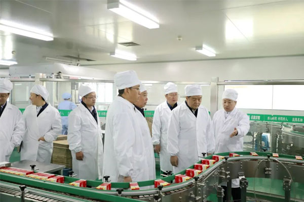 ����Ƭ������������