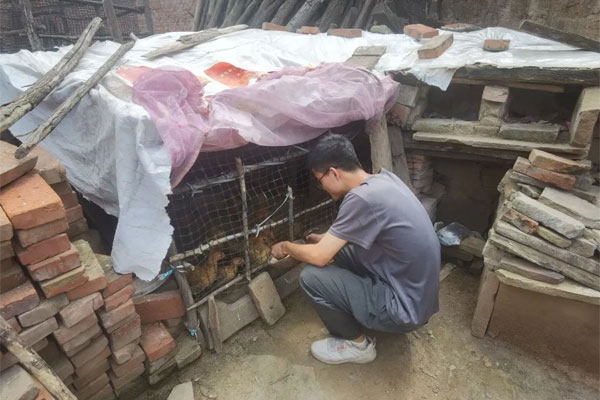 ��ƶ������,304am��������