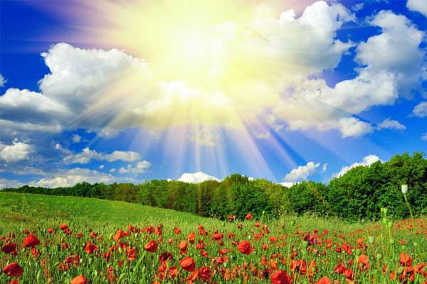 304am�������š�(�й�)���޹�˾����