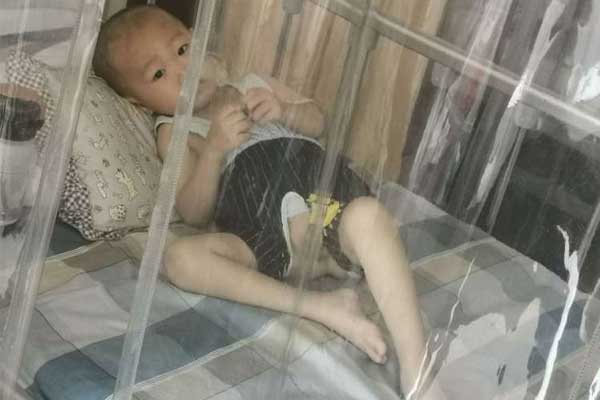 �����ܰ�ϸ����Ѫ������Ѧ����