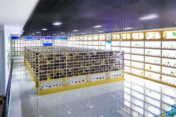 304amÓÀÀû¼¯ÍſƼ¼ÖÐÐÄÖвÝÒ©±ê±¾¹Ý 304amÓÀÀû¼¯ÍſƼ¼ÖÐÐÄÖвÝÒ©±ê±¾¹Ý