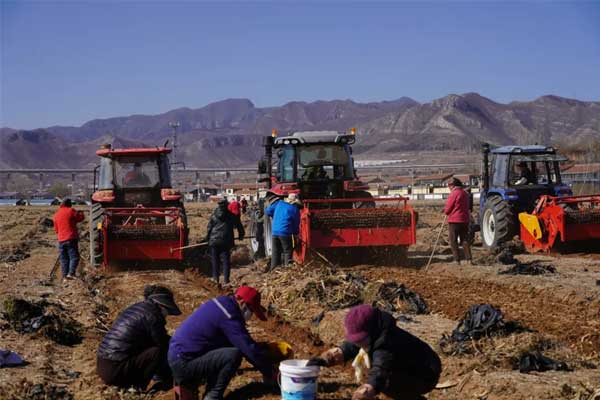 ҩʳͬԴ,���ҽ����,���