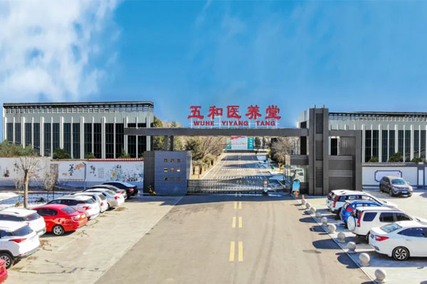 304amÓÀÀû¼¯ÍÅÎåºÍÒ½ÑøÌà 304amÓÀÀû¼¯ÍÅÎåºÍÒ½ÑøÌÃ