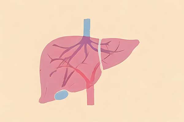 304am�������š�(�й�)���޹�˾����