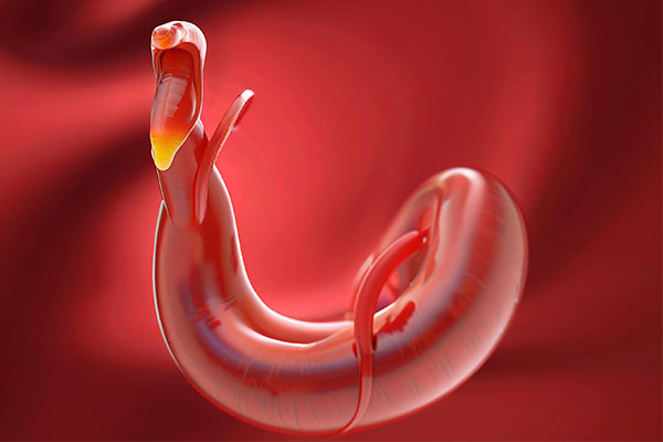 304am�������š�(�й�)���޹�˾����