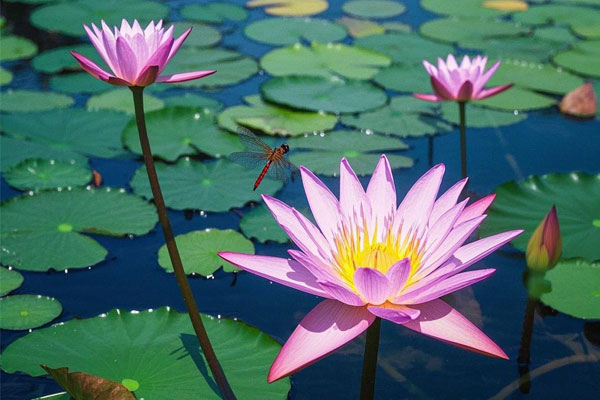 304am�������š�(�й�)���޹�˾����