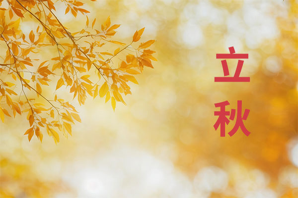 ��������,����